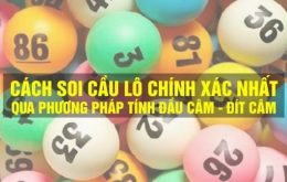 Thông tin và phương pháp soi đề từ đầu lô câm hay về